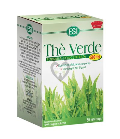 Te Verde 60caps Trepat-Diet-Esi