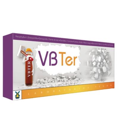VB Ter Rompepiedras SinGluten 20 Viales Tegor