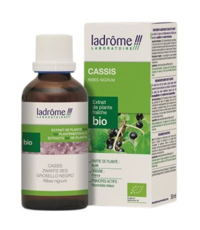 Extracto Grosellero Negro Bio 50ml Drome Provençale