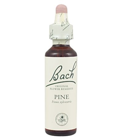 Bach 24 Pino 20ml Flores de Bach