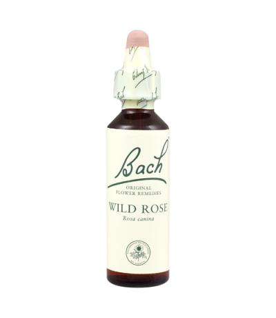Bach 37 Rosa Silvestre 20ml Flores de Bach