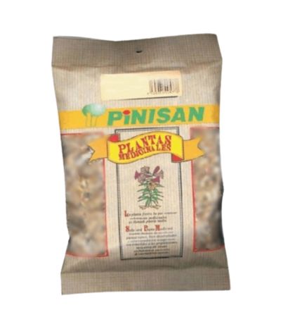 Apio Semillas 50g Pinisan