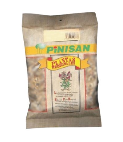 Curcuma Raiz Polvo 50g Pinisan