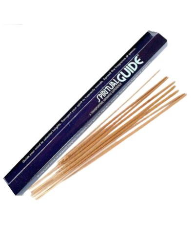 Stick Spiritual Guide Padmini 20 sticks Padmini